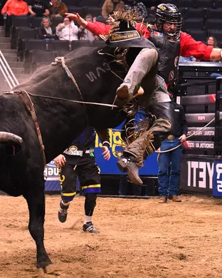 PBR - Unleash The Beast